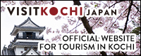 Visit Kochi